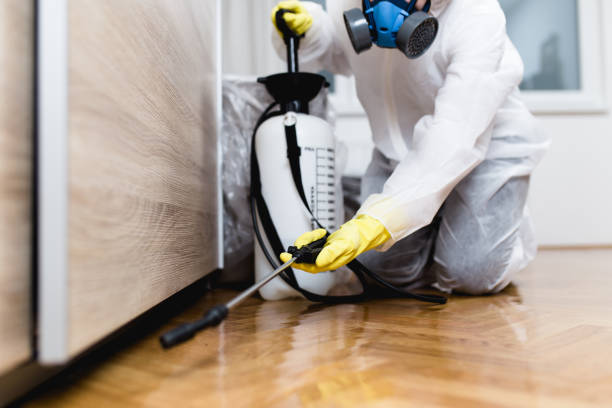 Best Exterminator Services  in Citrus Park, FL