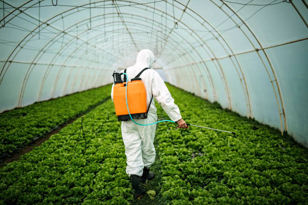 Trusted Citrus Park, FL Pest Control Experts