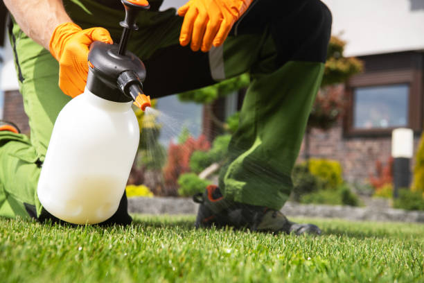 Best Local Pest Control Services  in Citrus Park, FL