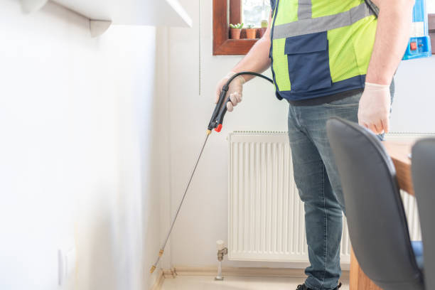 Best Pest Control Near Me  in Citrus Park, FL