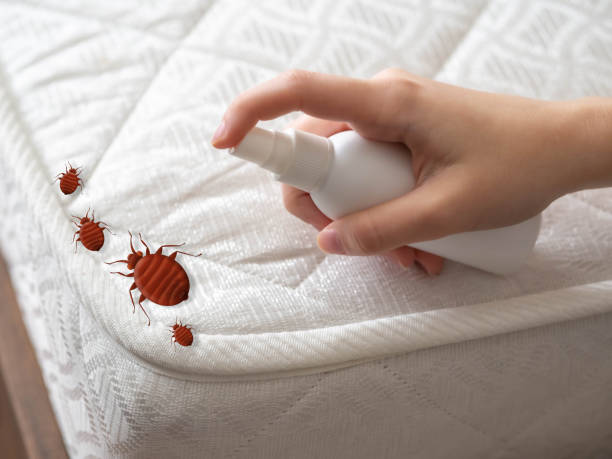  Citrus Park, FL Pest Control Pros